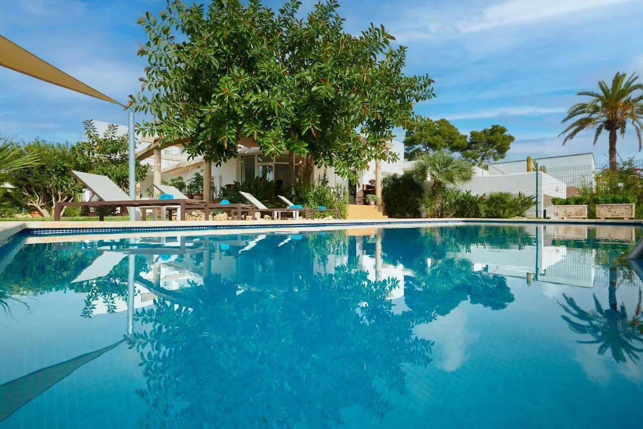 Ferienhaus Villa Punta Des Port 13 By Dracmallorca Portopetro